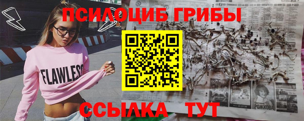 Псилоцибиновые грибы Magic Shrooms Чебоксары