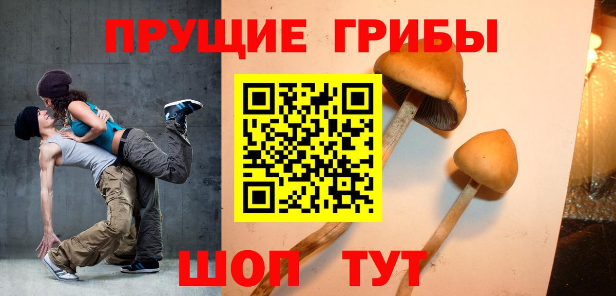 Чебоксары  Галлюциногенные грибы Psilocybine cubensis  Вход с VPN 