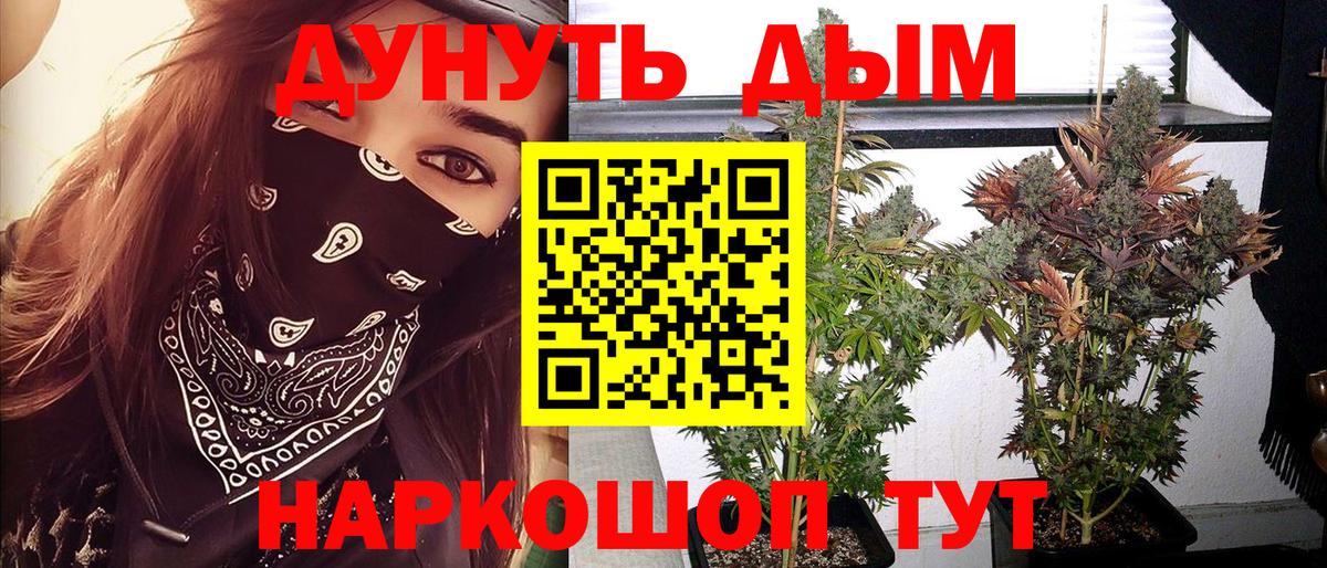 Чебоксары  Конопля тримм  Вход с VPN  Бошки Шишки Amnesia  МАРИХУАНА индика 